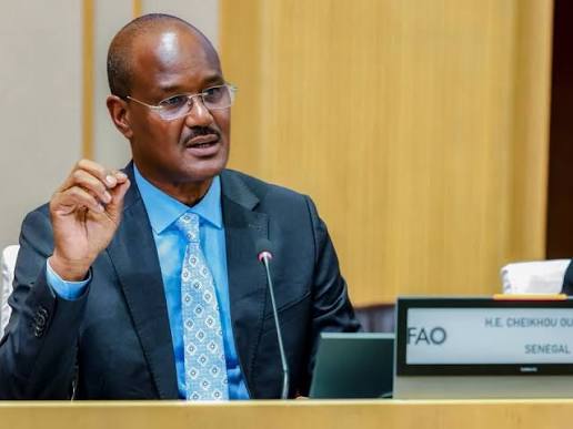 SOFI 2026 : le Sénégal réaffirme ses ambitions de souveraineté alimentaire à Rome