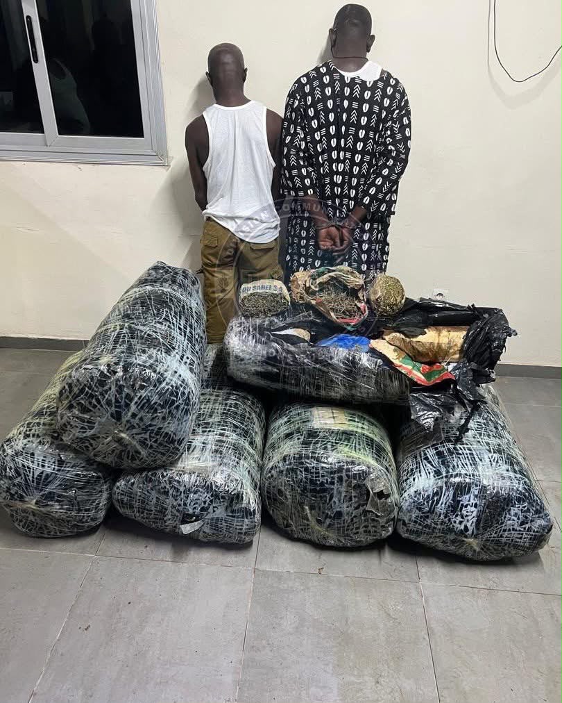 ​Thiaroye-sur-mer : deux Sénégalais interpellés avec plus de 300 kg de chanvre indien