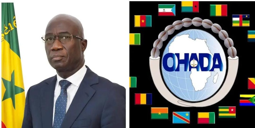 ​Lomé: Me Moussa Sarr participe à la 61e session du Conseil des ministres de l’OHADA