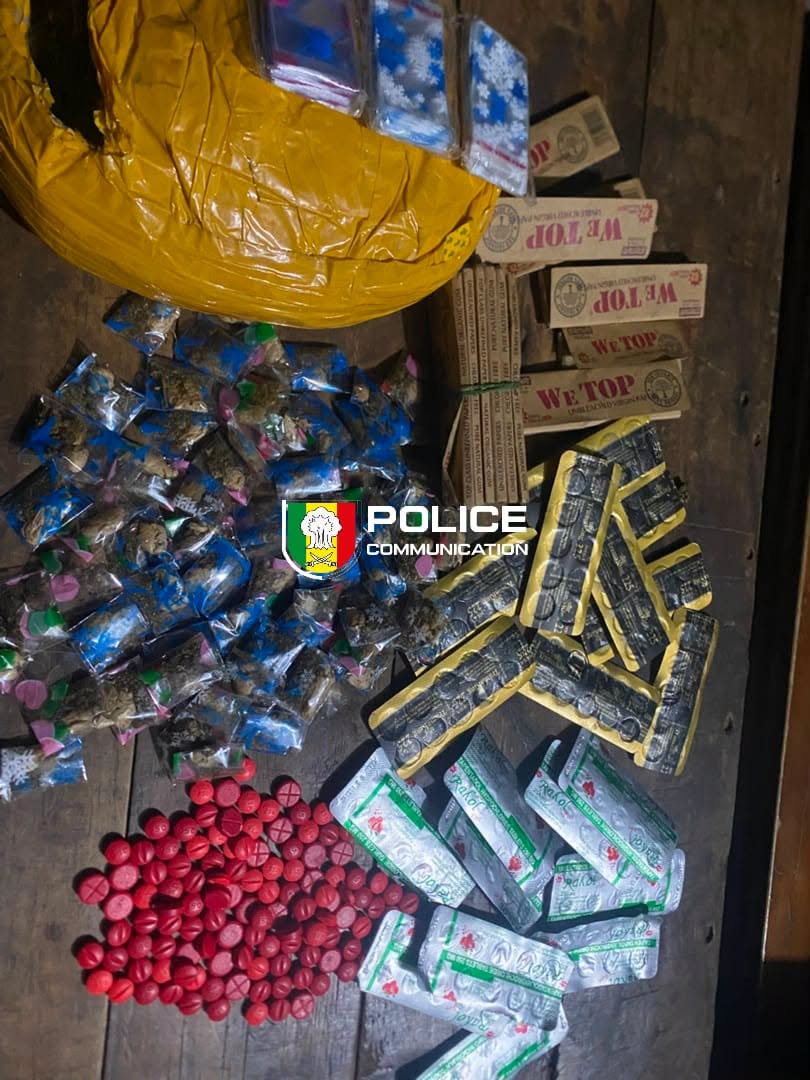 Kédougou : 313 comprimés de Tramadol et 66 paquets de skunk saisis par la Brigade des stupéfiants