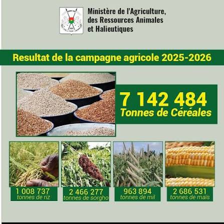 Sénégal : la production céréalière dépasse 2,4 millions de tonnes en 2025/2026