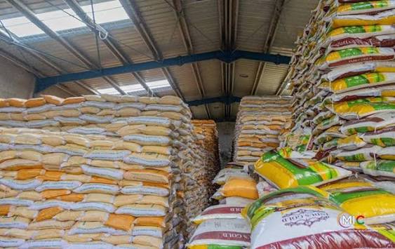 Importations 2025 : légère contraction de 0,5 % malgré la hausse des achats de riz et de blé