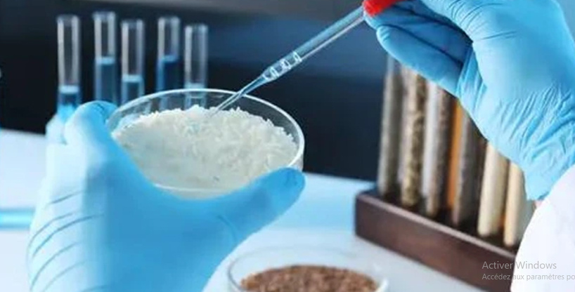 Riz contaminé ou guerre d'experts ? Autopsie d'un scandale d'État au Sénégal Riz contaminé ou guerre d'experts ? Autopsie d'un scandale d'État au Sénégal