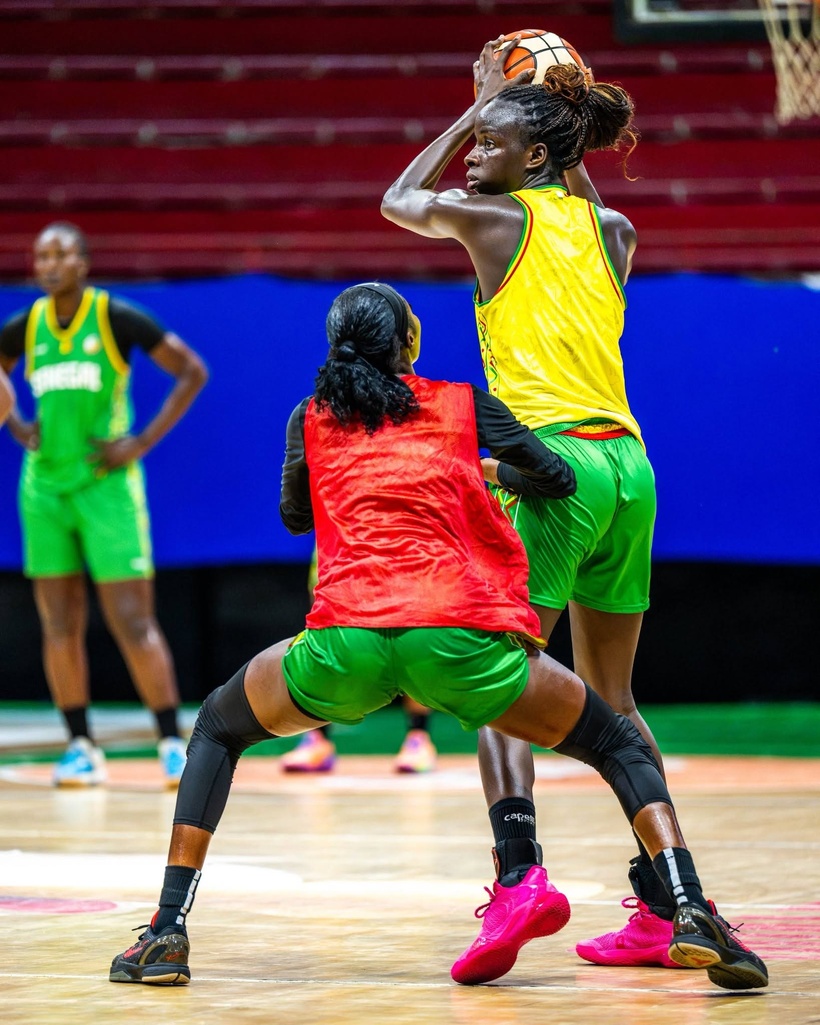 Pré-Qualifications JO 2028 : Cheikh Sarr réduit son groupe à 13 joueuses Pré-Qualifications JO 2028 : Cheikh Sarr réduit son groupe à 13 joueuses