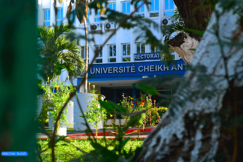 Enseignement supérieur : l'UCAD affiche 91,8 % de taux global d’inscription aux CCI-2026 