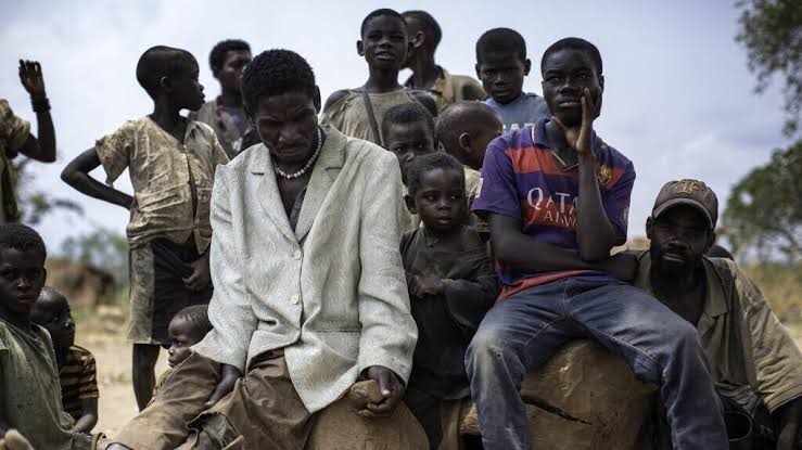 RDC: marginalisés, les Pygmées peinent toujours à se faire entendre dans la société