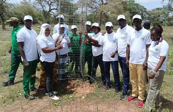 Ziguinchor : Diégoune abrite la 43e édition de la Journée nationale de l’arbre