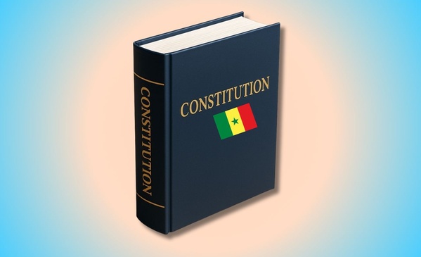 Transparence institutionnelle : l'obligation de déclaration de patrimoine bientôt inscrite dans la Constitution Transparence institutionnelle : l'obligation de déclaration de patrimoine bientôt inscrite dans la Constitution