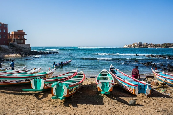 IMPAC6 à Dakar : le Sénégal prépare le tout premier congrès africain sur les aires marines protégées