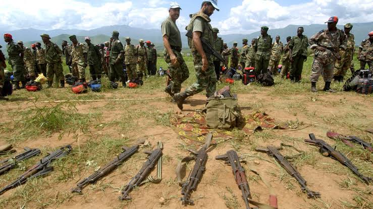 RDC-Rwanda: la délicate mise en œuvre du désarmement des FDLR