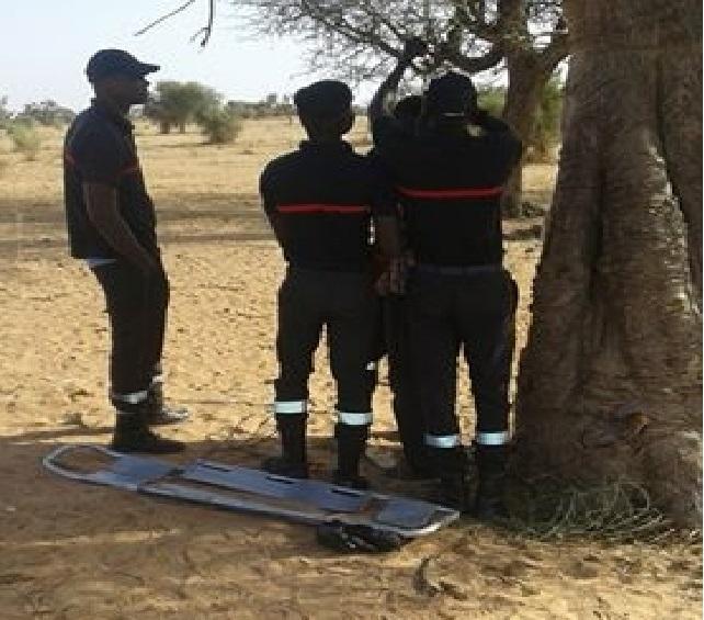 Ndangalma : un jeune homme de 24 ans retrouvé mort pendu à un arbre