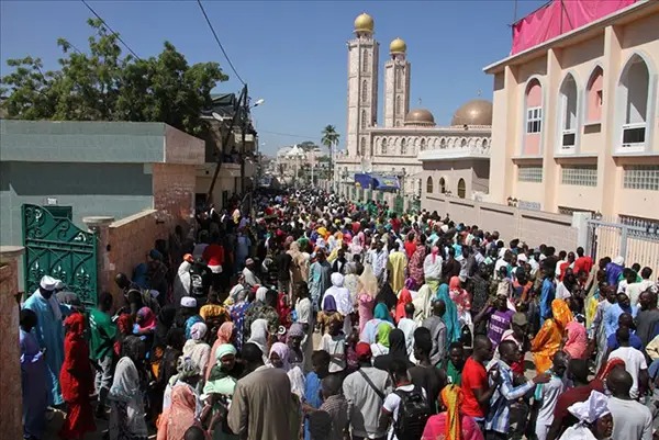 ​« Mawlid »: une application pour retrouver les enfants égarés et signaler les incidents durant le Gamou