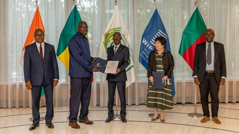 Genève: le Madd de Casamance décroche son certificat d’enregistrement international auprès de l'OMPI Genève: le Madd de Casamance décroche son certificat d’enregistrement international auprès de l'OMPI