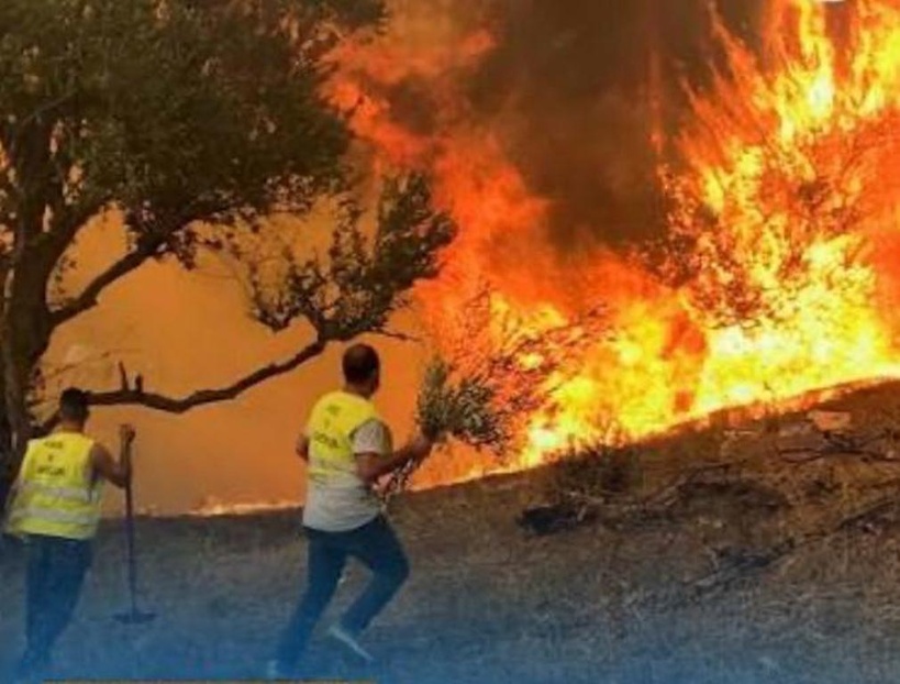 Algérie : au moins 12 morts dans des incendies de forêts