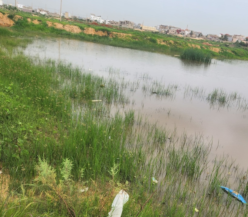 Inondations : le Comité local de développement alerte sur l’enclavement des cités Oasis, Air France et Darou Thioubou