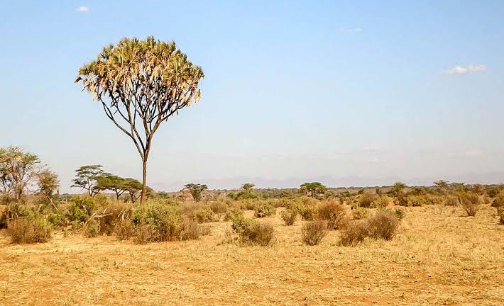Lutte contre le changement climatique : Yoff mobilise 30 millions de FCFA pour soutenir des projets de jeunes
