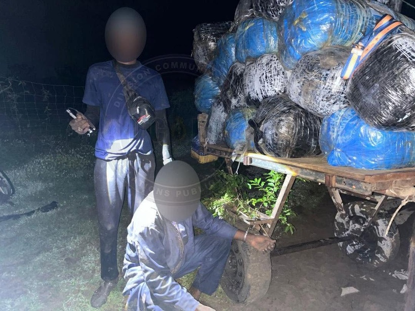 Trafic de drogue à Mbodiène : 427 kg de chanvre indien saisis par la gendarmerie de Mbour, un individu interpellé Trafic de drogue à Mbodiène : 427 kg de chanvre indien saisis par la gendarmerie de Mbour, un individu interpellé