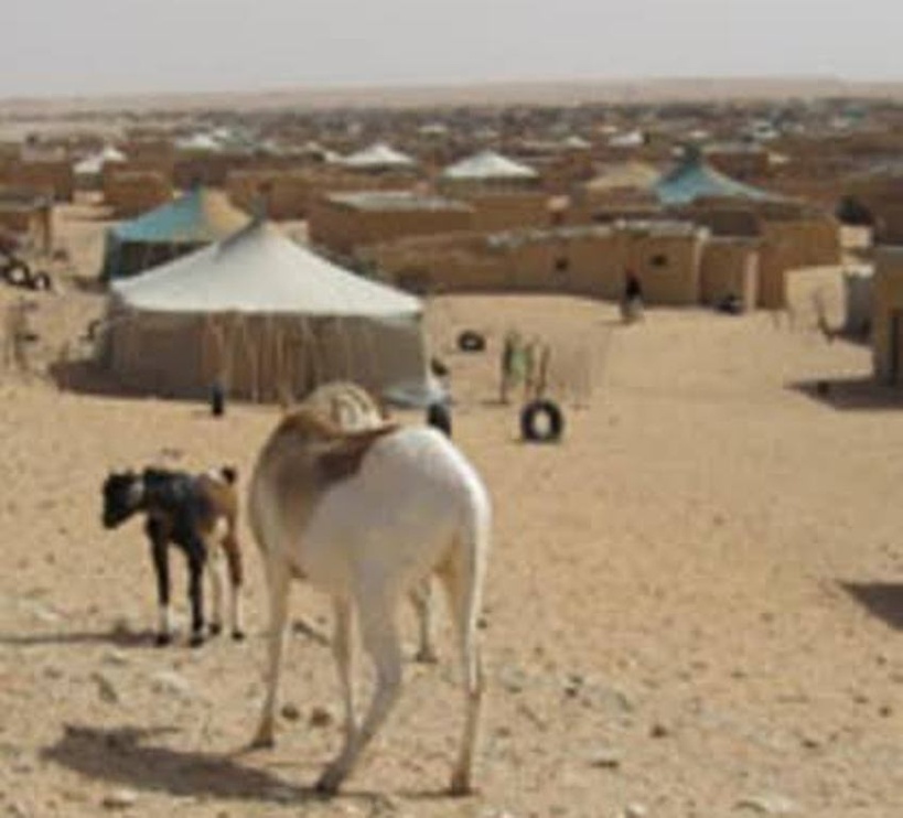 Le Maroc pas si mécontent du projet de loi pour accorder la nationalité espagnole à des Sahraouis Le Maroc pas si mécontent du projet de loi pour accorder la nationalité espagnole à des Sahraouis