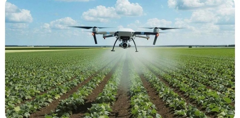 ​New Deal Technologique : l'impact agricole estimé à 290 milliards de FCFA et 83 000 emplois d'ici 2030