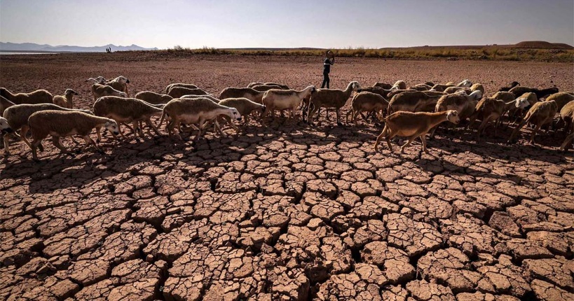 Réchauffement climatique : l'Afrique enregistre  une température record de 2,33 °C au-dessus de la moyenne