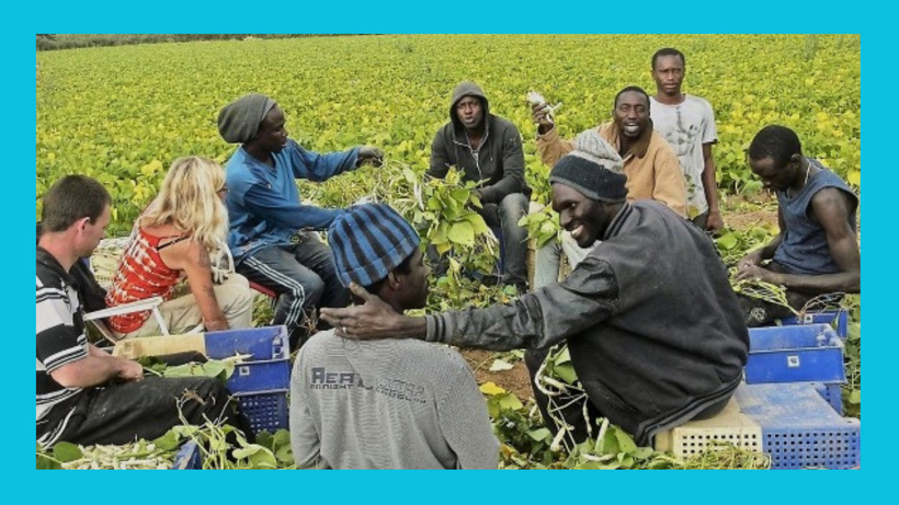 ​  Migration circulaire : 200 travailleurs sénégalais sur le chemin du retour après une saison réussie en Espagne