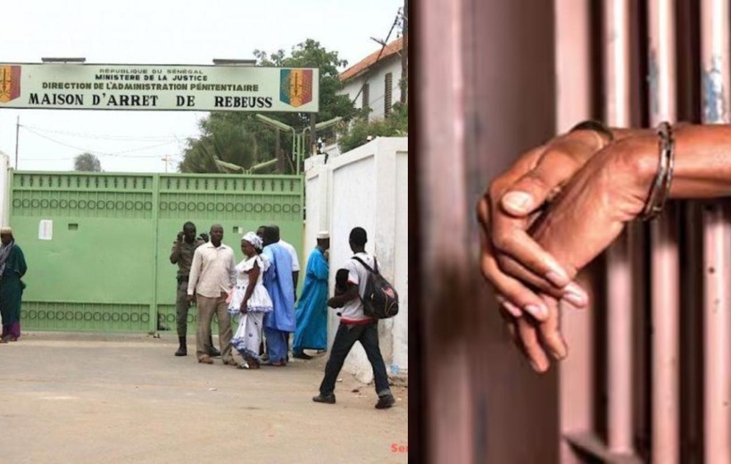 Grâce présidentielle : le chef de l'État a accordé une mesure d'élargissement à 984 condamnés à travers le Sénégal