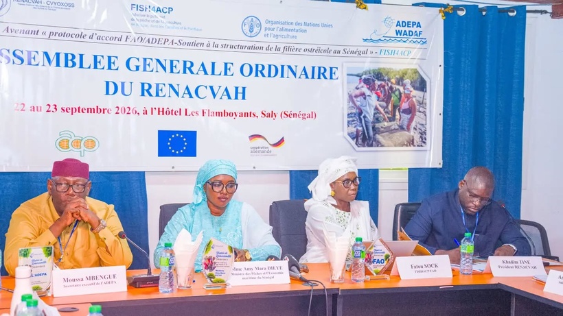 La ministre Amy Mara Dièye veut «faire de l'huître sénégalaise un produit labellisé et compétitif» La ministre Amy Mara Dièye veut «faire de l'huître sénégalaise un produit labellisé et compétitif»