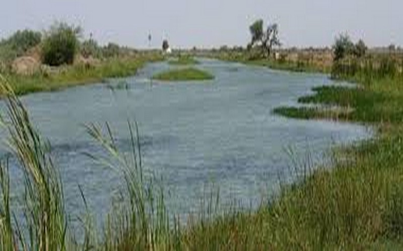 Réserve de biosphère du Delta du Sénégal : un plan de 8,5 milliards FCFA a été présenté à Saint-Louis
