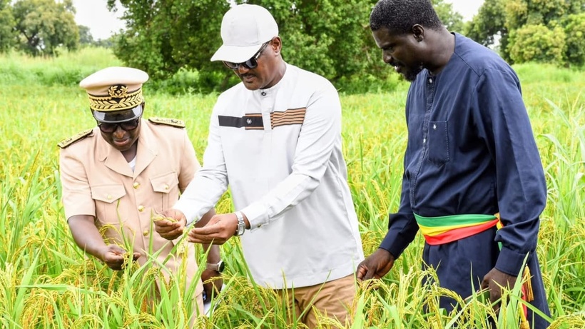Agriculture : Cheikhou Oumar Ba mise sur les coopératives pour structurer les filières niébé et arachide Agriculture : Cheikhou Oumar Ba mise sur les coopératives pour structurer les filières niébé et arachide