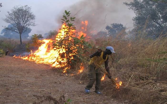 Algérie : les auteurs de feux de forêt encourent désormais la peine de mort après un vote des députés