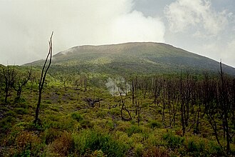 Est de la RDC: dans le parc de Kahuzi-Biega, environ 100 hectares de forêt ont été déboisés au premier trimestre 2026