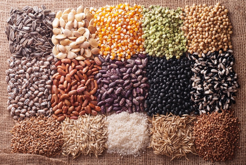 Sécurité alimentaire : l'UA appelle à transformer les systèmes semenciers face aux crises climatiques Sécurité alimentaire : l'UA appelle à transformer les systèmes semenciers face aux crises climatiques
