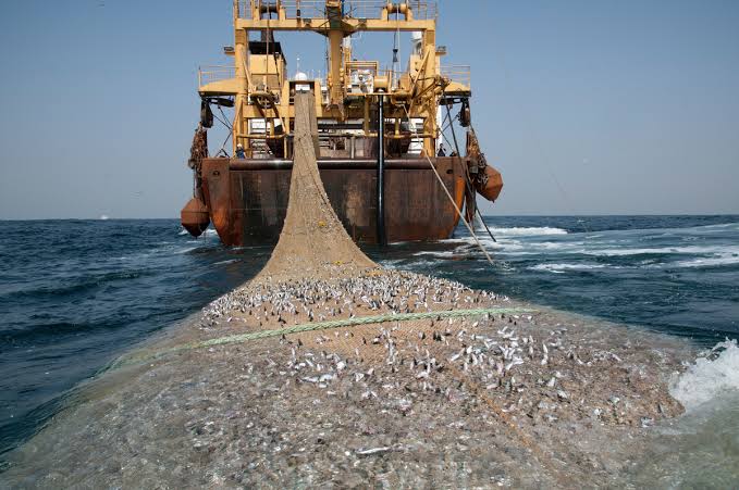 Licences de pêche : la commission d’enquête parlementaire débute ses auditions ce mercredi 7 octobre 2026