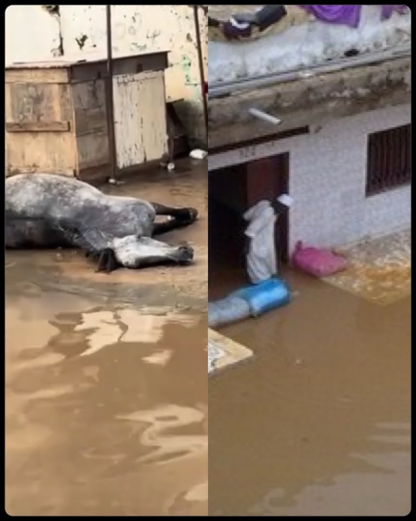 ​Inondations: un sexagénaire meurt électrocuté, un charretier arrêté après la noyade de son cheval