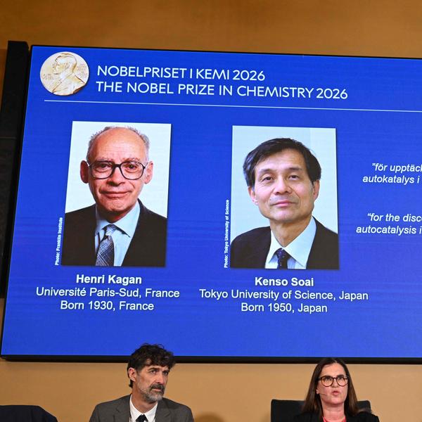 Le Français Henri Kagan et le Japonais Kenso Soai remportent le prix Nobel de chimie