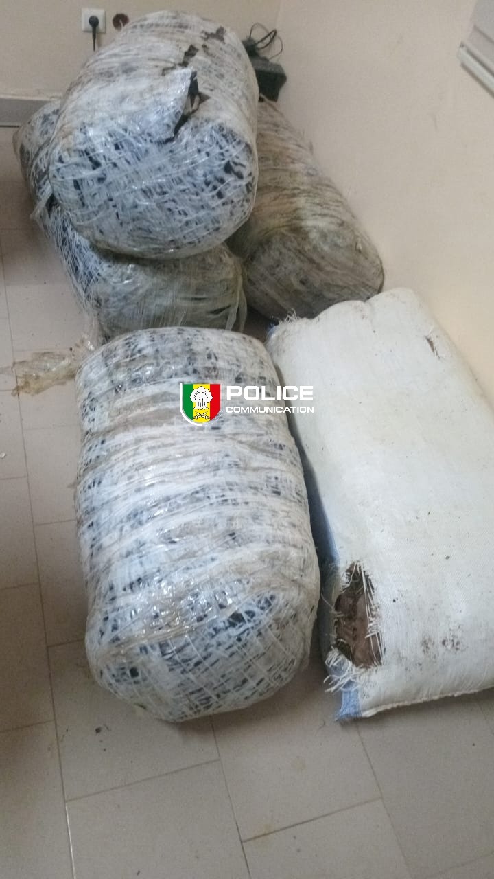 Mbour : 160,75 kg de chanvre indien saisis, les premiers suspects en fuite 