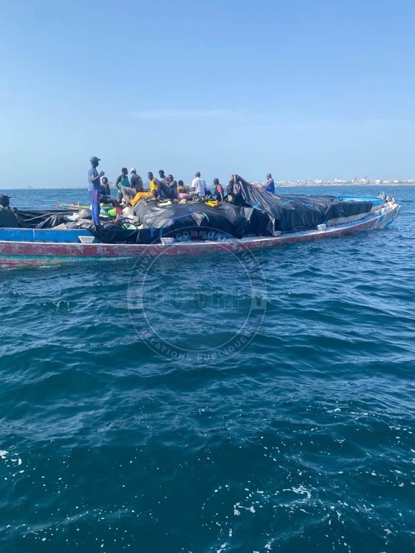 îlot Sarpan : 1800 cartons de cuisses de poulet de contrebande saisis, 19 Sénégalais interpellés îlot Sarpan : 1800 cartons de cuisses de poulet de contrebande saisis, 19 Sénégalais interpellés