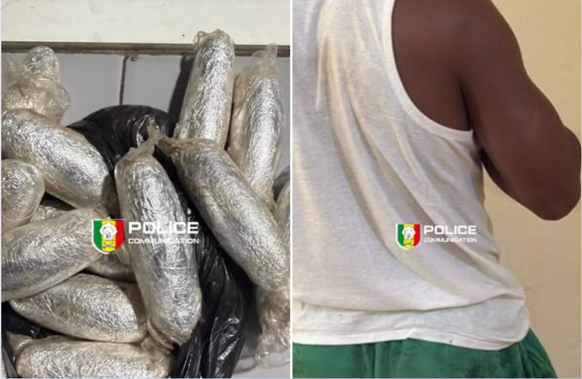 Trafic de cocaïne à la Médina : 225 grammes saisis, un individu interpellé et conduit au parquet 