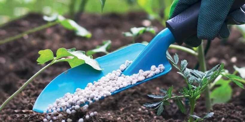 Urée, phosphates et géopolitique : ce que réserve le marché des engrais d'ici 2028 Urée, phosphates et géopolitique : ce que réserve le marché des engrais d'ici 2028