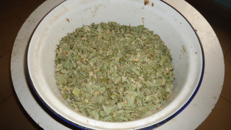 «L’hôpital Traditionnel de Keur Massar, met en place une alternative thérapeutique crédible», Dr Djibril BA «L’hôpital Traditionnel de Keur Massar, met en place une alternative thérapeutique crédible», Dr Djibril BA