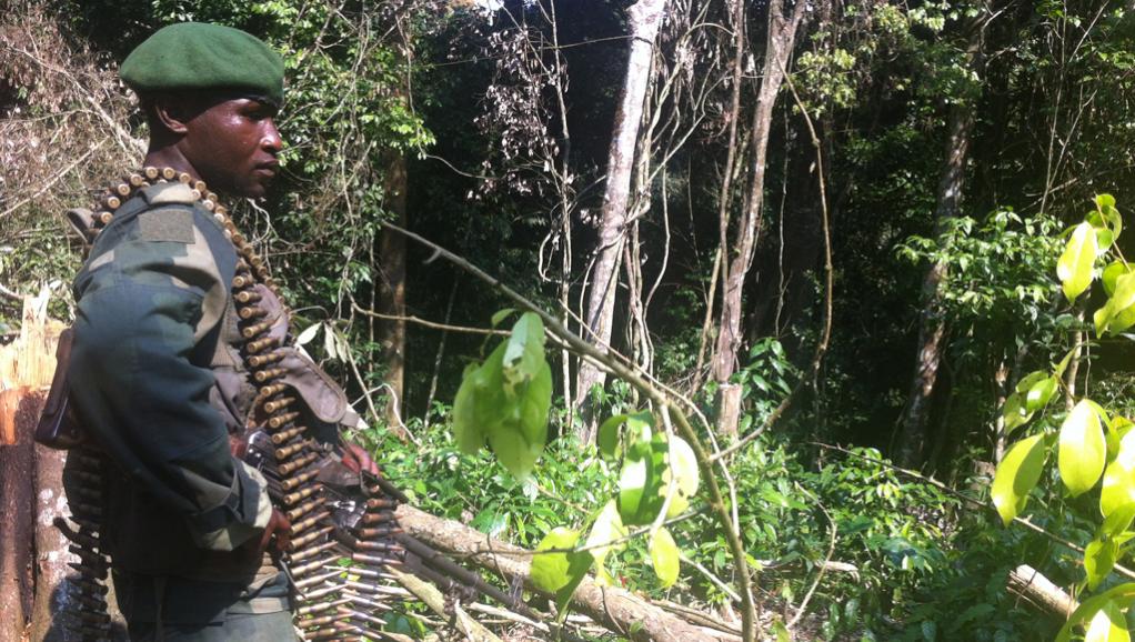 RDC: dans le camp Garlic, une des places fortes des ADF