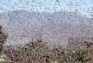 «Phénomènes dangereux » sur la Grande côte : L’Anacim tire la sonnette d’alarme
