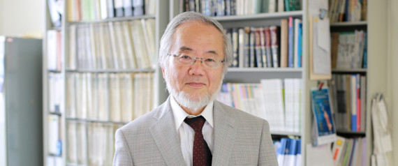 Le prix Nobel de médecine 2016 décerné à Yoshinori Ohsumi pour ses travaux sur "l'autophagie"