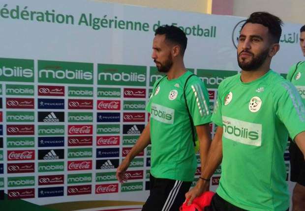 L'Algérie à pied d'œuvre pour le duel contre le Cameroun