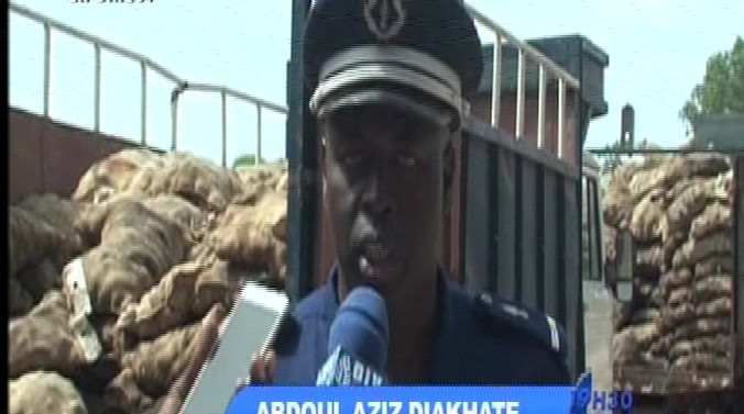 Thiaroye : 55 tonnes de pommes de terre pourries saisies par la gendarmerie