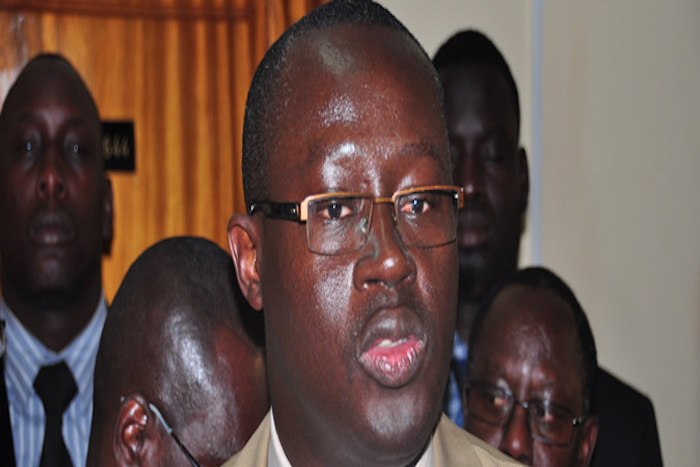 Equipementier des Lions: Un sponsor émirati pour remplacer Puma