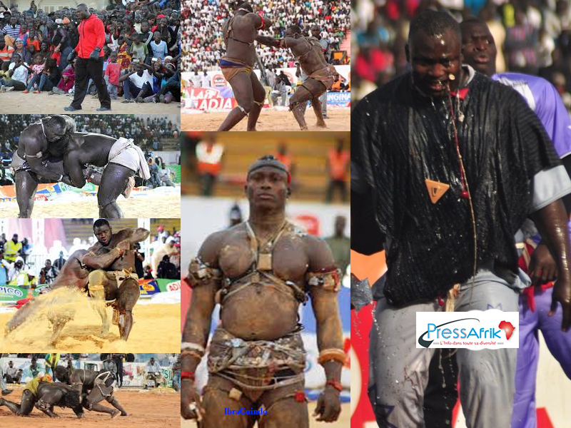 Trophée ANPS : Modou Lô élu meilleur lutteur de l’année 2016