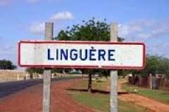 ​Linguère: Warkhokh sans eau depuis 7 jours