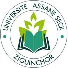 Université Assane Seck de Ziguinchor: Pourquoi l’Amical des étudiants a bloqué les cours ?