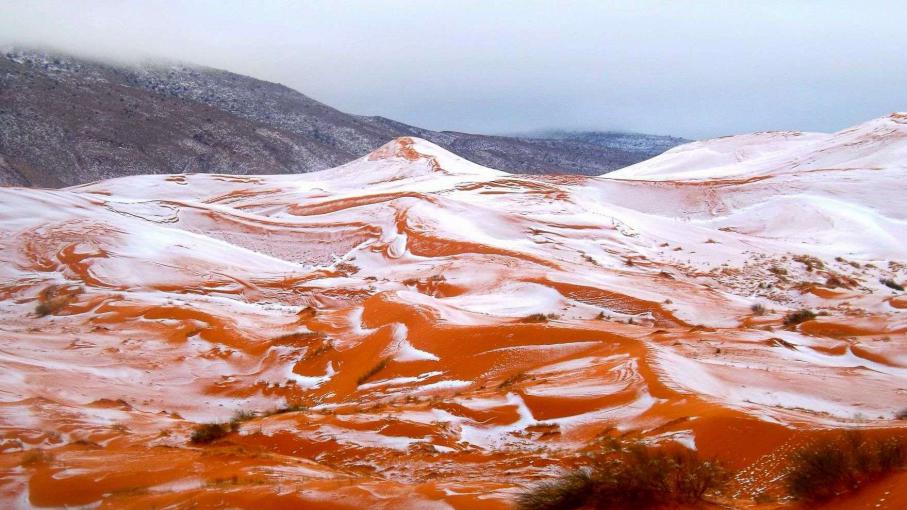 EN IMAGES. Les dunes du Sahara sous la neige pour la première fois depuis 37 ans